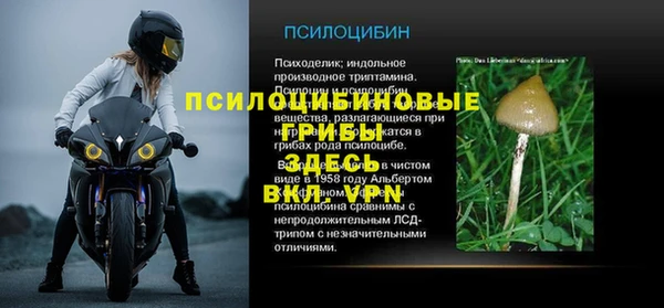 spice Магас