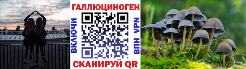 kraken маркетплейс  купить закладку  Железноводск  Галлюциногенные грибы ЛСД 