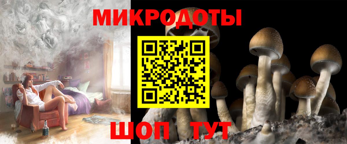 Галлюциногенные грибы Psilocybine cubensis Железноводск