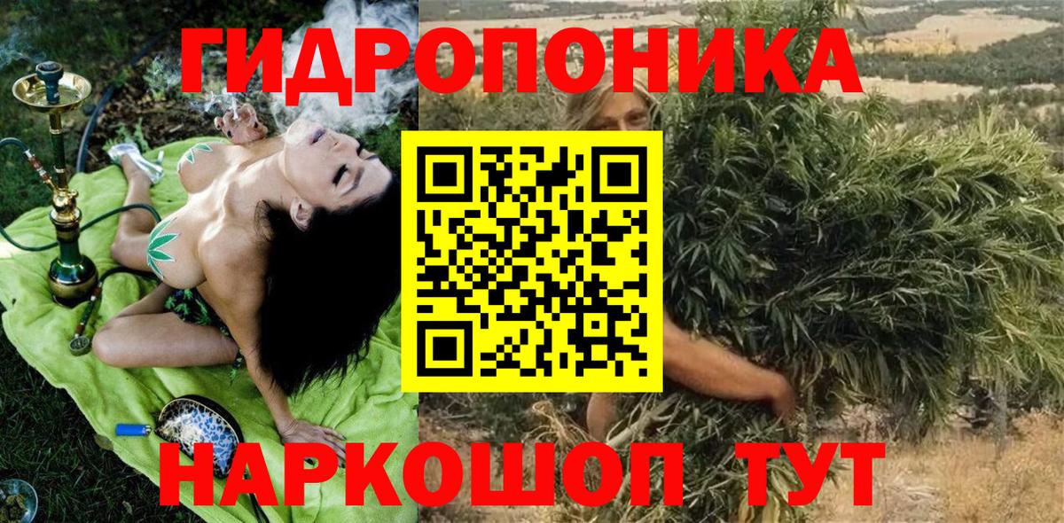 Конопля сатива  Марихуана OG Kush  Конопля VHQ  Марихуана White Widow  Железноводск 